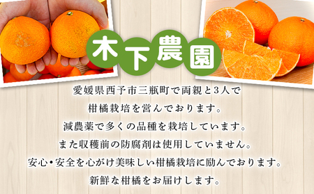 ＜木下さんちのニューサマーオレンジ 訳あり 約10kg（大中小サイズ混み）＞ 柑橘類 日向夏 ミカン 蜜柑 果物 くだもの フルーツ 国産 特産品 木下農園 愛媛県 西予市【常温】『2027年4月上旬～5月中旬に順次出荷』MKS0008