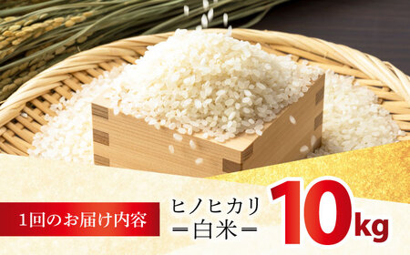 【全6回定期便】 ヒノヒカリ 白米 10kg 【有限会社江北商会】[HDK003]