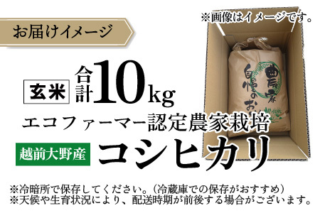 【先行予約】【令和8年産 新米】【有機栽培】越前大野産 エコファーマー認定農家栽培 コシヒカリ10kg（玄米）【2026年10月より順次発送】[A-001085]