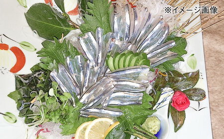 朝獲れきびなご刺身セット(きびなご丸ごと16尾パック×5、きびなご手引刺身16尾パック×5） 五島市/有限会社心誠[PCG018]