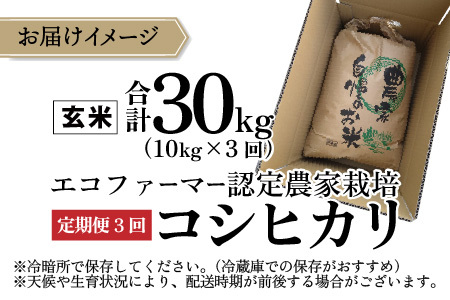 【先行予約】【令和8年産 新米】【3ヶ月定期便】越前大野産 エコファーマー認定農家栽培 こしひかり 玄米 10kg × 3回 計30kg【2026年10月より順次お届け】[E-001004_02]