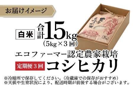 【先行予約】【令和8年産 新米】【3ヶ月定期便】【白米】越前大野産 エコファーマー認定農家栽培こしひかり 5kg × 3回 計15kg 【2026年10月より順次発送】 [C-001007_01]