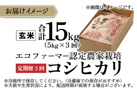 【先行予約】【令和8年産 新米】【3ヶ月定期便】【玄米】越前大野産 エコファーマー認定農家栽培こしひかり 玄米 5kg × 3回 計15kg 【2026年10月より順次発送】