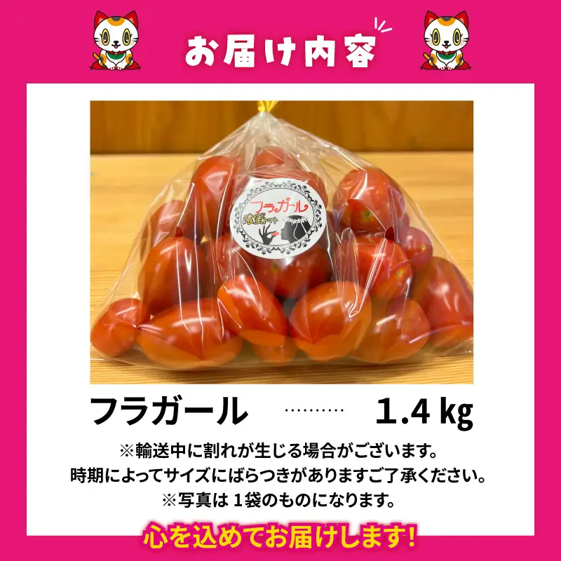 【先行予約】【2027年1月中旬以降発送】フルーツトマト　フラガール1.4kg（へたなし）
