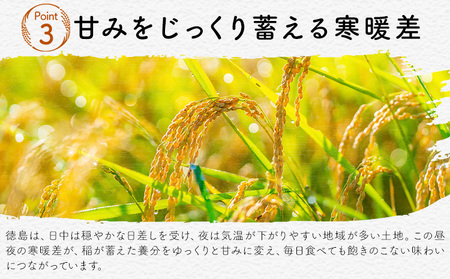 【先行予約】白米 徳島ふるさと応援米 5kg 米