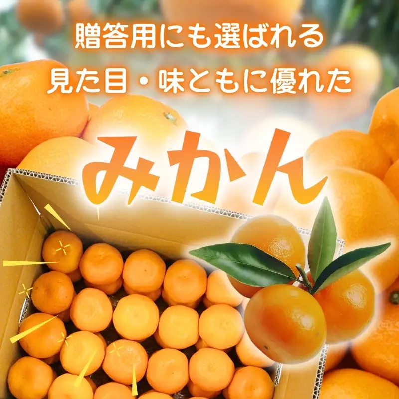 先行予約 2026年11月下旬より発送 【 農林水産大臣賞受賞 】 甘さが違う極上みかん 5kg 