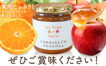 しらぬひとりんごのゴロゴロジャム 3個 (1個250g) ジャム
