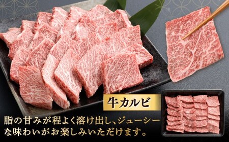 【やまぐち和牛燦】 焼肉セット 牛ロース焼肉・牛カルビ焼肉 各約500g 焼肉 焼肉用 焼き肉 牛ロース 牛カルビ 牛肉 冷凍 福岡県 北九州市
