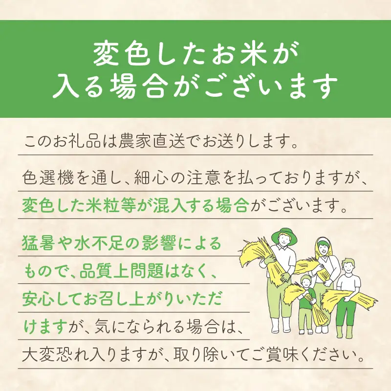 令和8年産 【先行予約】2026年産 京丹後産コシヒカリ 玄米20kg コシヒカリ 玄米