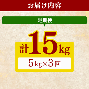 令和8年産 新米 こしひかり 5kg 3回定期便 新米