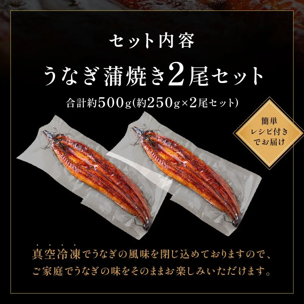 うなぎ蒲焼き 2尾セット(約250g×2尾セット) _HA1964 | うなぎ 鰻