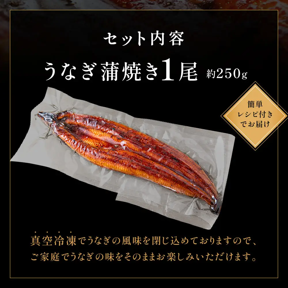 うなぎ蒲焼き 1尾セット(約250g×1尾セット) _HA1963 | うなぎ 鰻