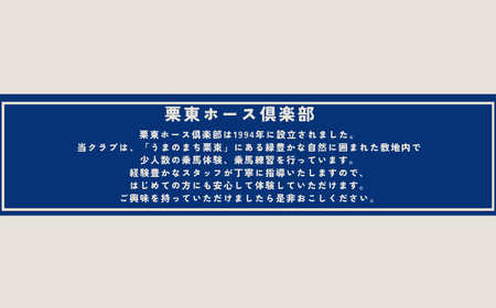 乗馬体験チケット1名様分(20分)初心者 BIBL001 乗馬