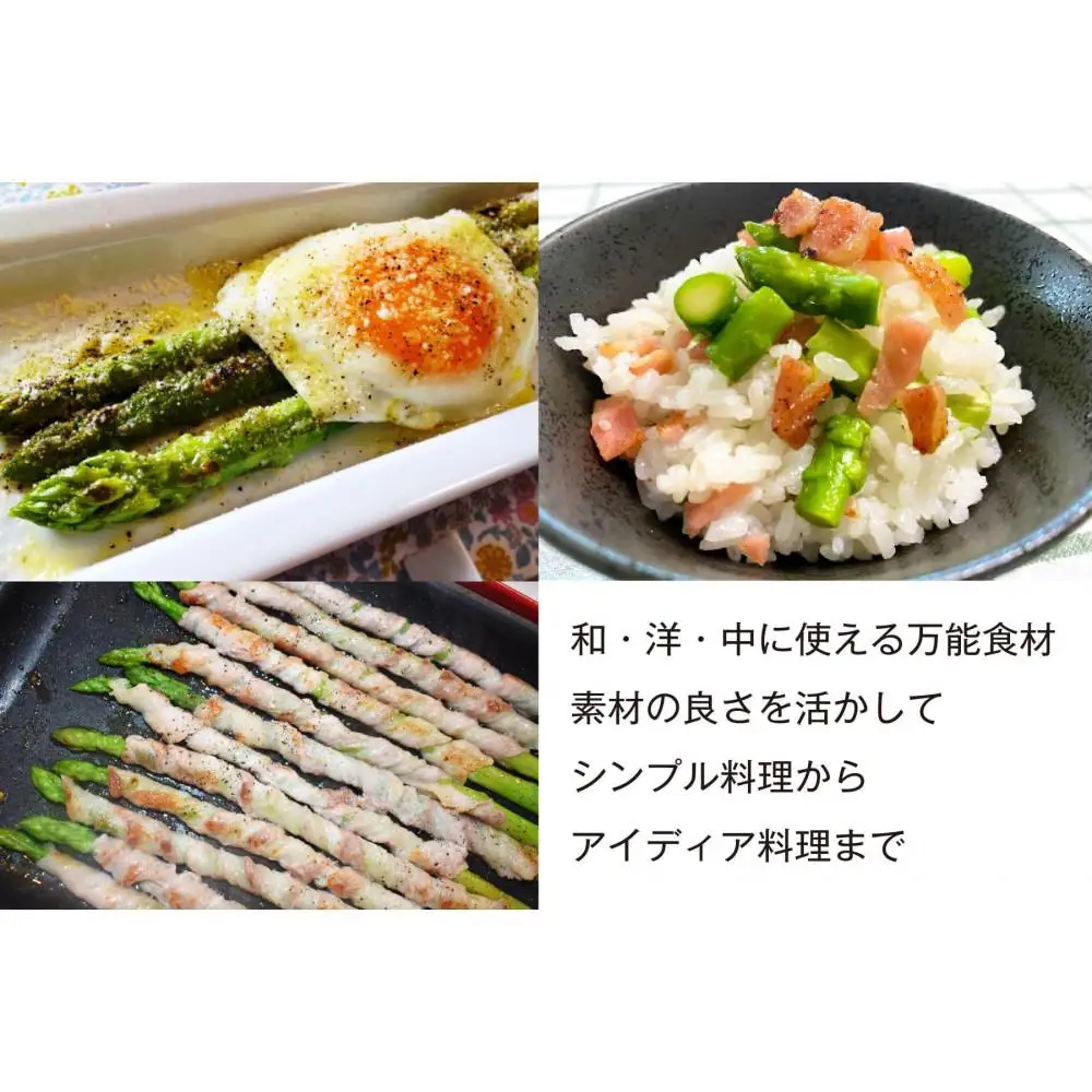 【朝採り直送】春芽アスパラガス 1kg (L-Mサイズ) 福岡県産 2027年
