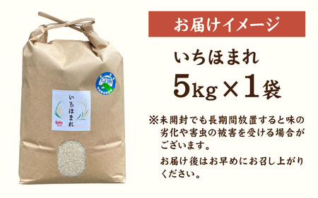 【先行予約】【令和8年産 新米】【農家直送】減農薬・化学肥料不使用  いちほまれ 5kg×1袋 【2026年10月より順次発送】 | 特別栽培米 