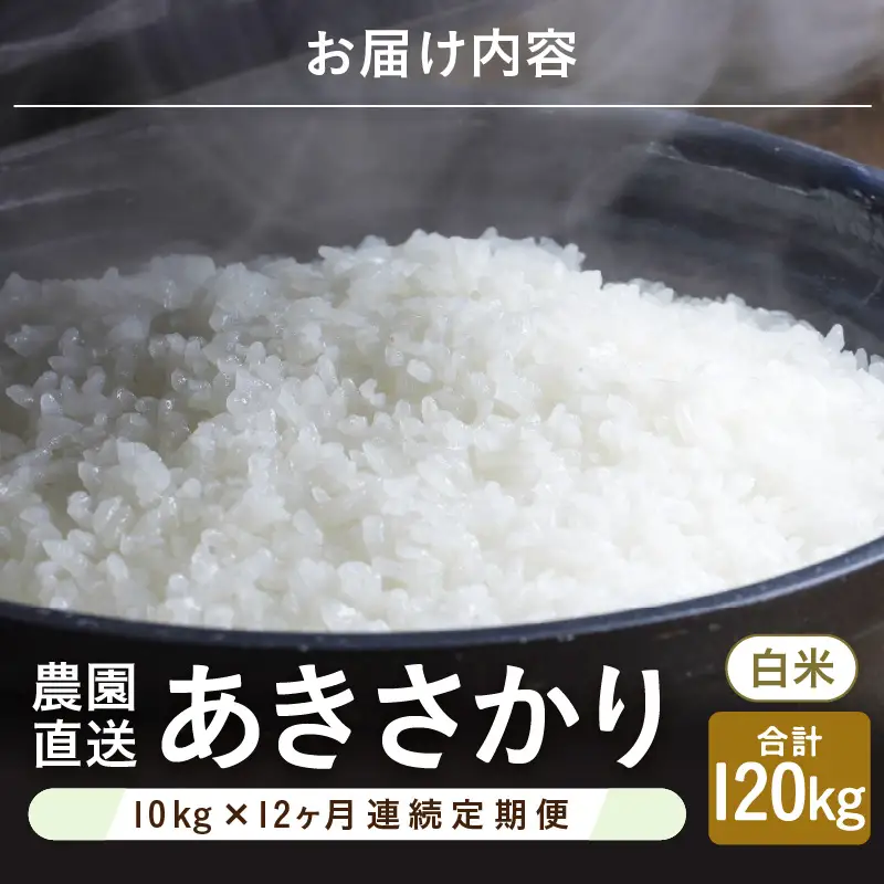 先行予約 令和8年産 新米 (白米) 定期便 12ヶ月連続お届け あきさかり 10kg (5kg×2袋) × 12回 計120kg ブランド米 米 2026年10月上旬以降順次発送 [O-8912_01]