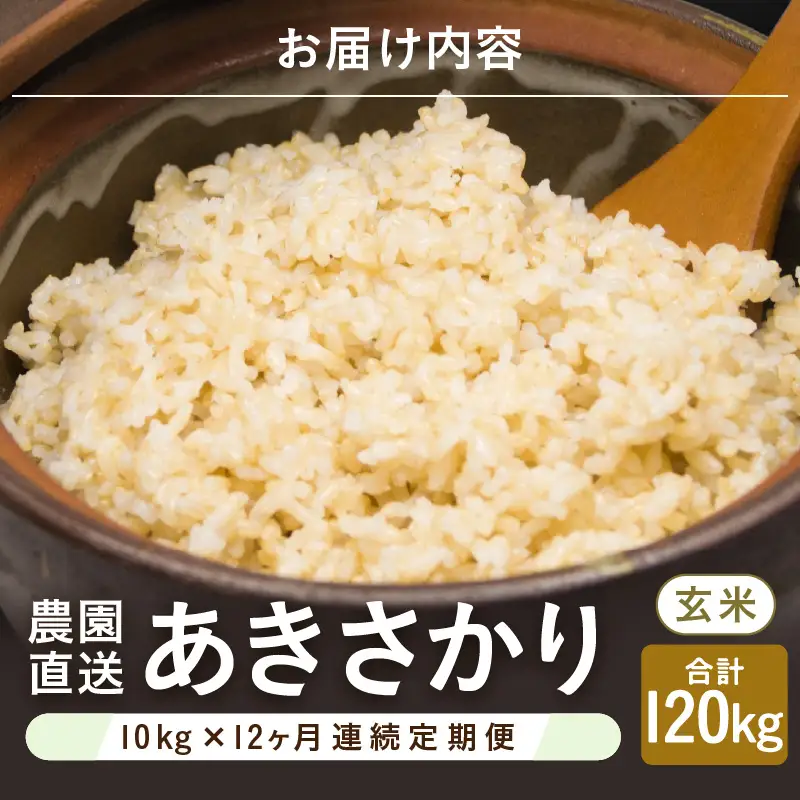 先行予約 令和8年産 新米 (玄米) 定期便 12ヶ月連続お届け あきさかり 10kg (5kg×2袋) × 12回 計120kg ブランド米 米 2026年10月上旬以降順次発送 [O-8912_02]