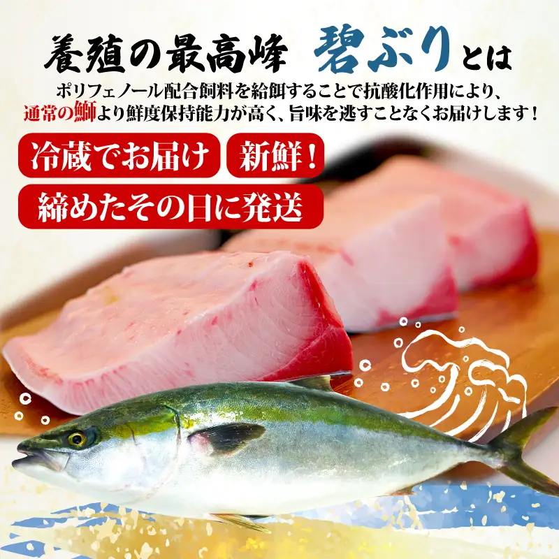 鰤 ぶり ブリ 碧ぶり 活締め ラウンド 4kg 南予ビージョイ 冷蔵 活〆 丸々 1尾 buri 碧鰤 ブランド 養殖ぶり 養殖鰤 鰤しゃぶ ぶりしゃぶ お刺身 さしみ 刺身 刺し身 たたき 漬け丼 漬丼 海鮮丼 寿司 ネタ お寿司 鍋 国産 愛媛 宇和島 D038-150025