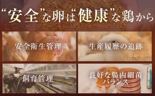 赤穂の源 50個（40個+割れ保証10個）（25×2パック） 鶏卵 卵 たまご 卵かけご飯 卵焼き 朝ごはん ご飯 ご褒美 冷蔵 兵庫県 赤穂市