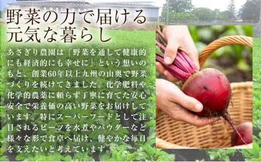 自社農園栽培 ビーツ 水煮 600g （200g×3袋） やさい 野菜 ボルシチ 小分け レトルトパウチ 健康 美容 国産 九州 熊本県 あさぎり町