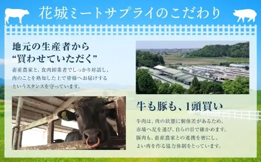 静岡県産 牛切り落とし 約300g 牛肉 肉 牛 切り落とし 焼肉 バラ ウデ モモ BBQ バーベキュー 静岡県 菊川市