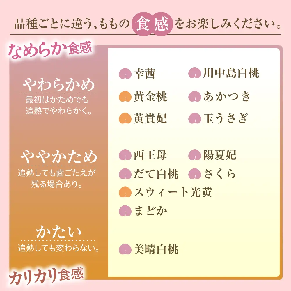 硬い !! もも 美晴白桃 2kg フルーツ 果物 山形 桃