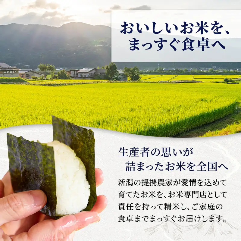 【12回定期便】新米予約 コシヒカリ 5㎏×12 令和8年産 コシヒカリ