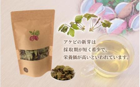 新芽のあけび茶 12g×2 / アケビ 岡山県 真庭市 しげや 【shigeya008-01】