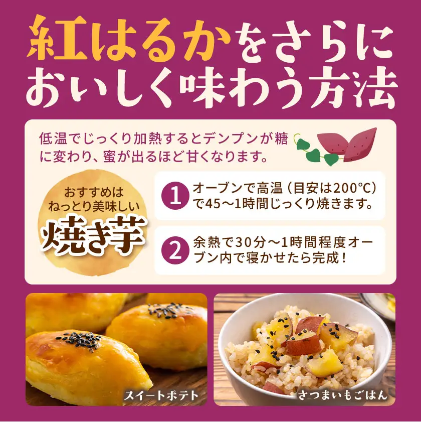 有機JAS認定 紅はるか 10kg 農園ベルの樹熊本県 南阿蘇村 さつまいも オーガニック 有機栽培 薩摩芋