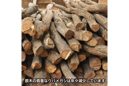 紀州備長炭 インテリア・オブジェ(Mサイズ)【0274-1】