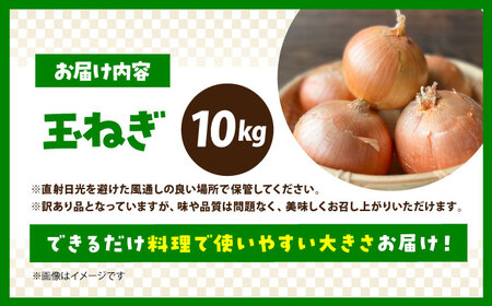 【今が旬!】 訳あり 玉ねぎ 10kg 　【えぐちファーム】 不揃い たまねぎ[HDE004]