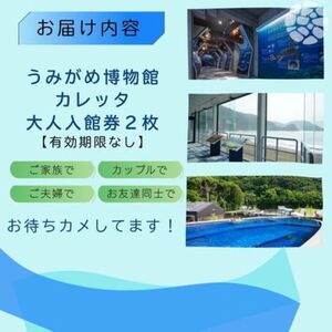 日和佐うみがめ博物館カレッタ入館券【大人2名分】美波町 ドリームチーム