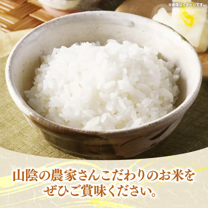 【定期便】五ツ星お米マイスター厳選 能義平野のきぬむすめ 5kg×6ヵ月 【令和7年産 ５KG 6ヶ月 毎月 計30kg 精米 白米 ご飯 お米 美味しい 安心 安全 沼田米穀店 島根県 安来市】【価格変更X】【66-NB-11】
