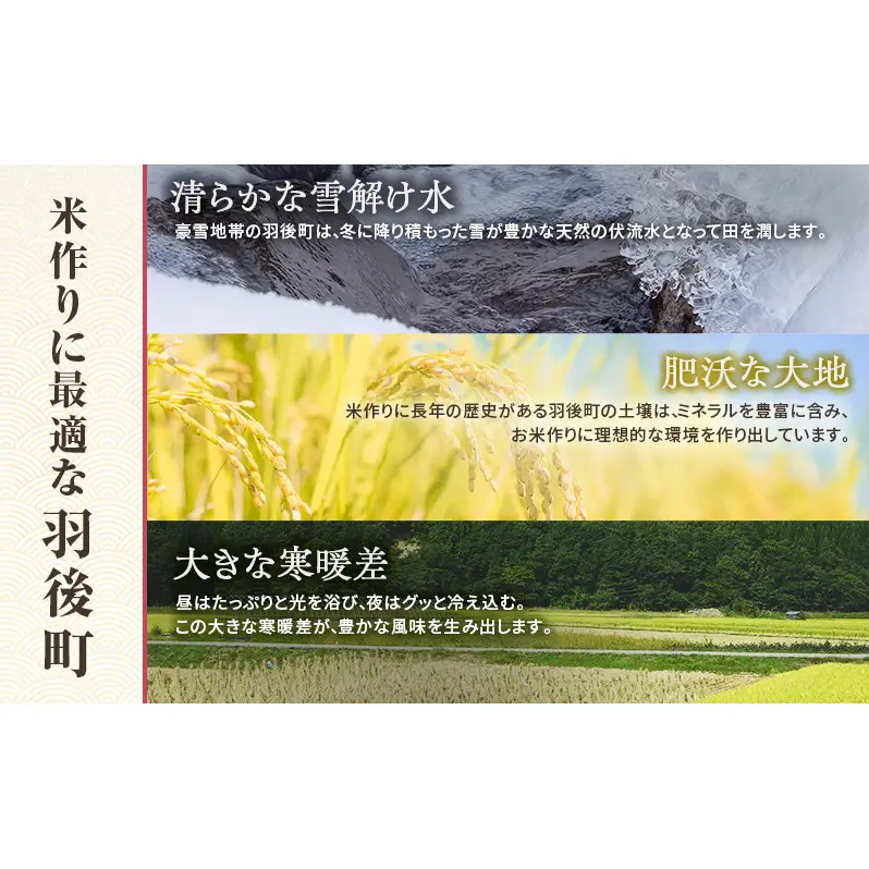 秋田県 羽後町産 あきたこまち 精米 10kg（5kg×2袋）【 米 お米 白米 精米 アキタコマチ 美味しい 秋田 羽後 】
