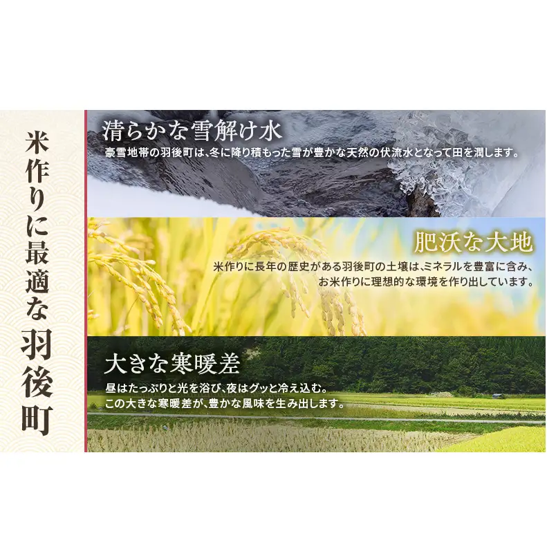秋田県 羽後町産 あきたこまち 精米 10kg（10kg×1袋）【 米 お米 白米 精米 アキタコマチ 美味しい 秋田 羽後 】