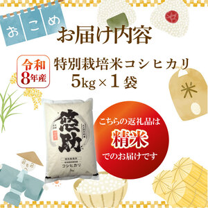 【令和8年 先行予約】新潟県産コシヒカリ5kg(5キロ×1) kwsKH |新潟県 コシヒカリ おこめ