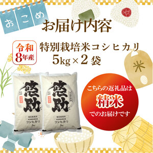 【先行予約】令和8年産 コシヒカリ 10kg コシヒカリ コシヒカリ kwsKH