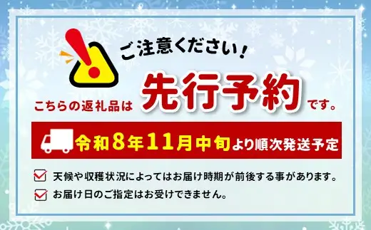 【贈答用・桐箱】先行予約 令和8年12月中旬順次発送 袋掛け 富有柿 ( 6個 ／ 1.8kg ) 1箱 | さのっち農園