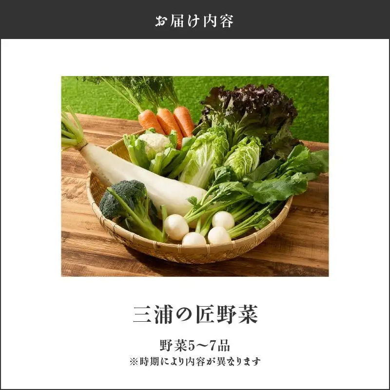 ＜ 先行予約 ＞ 三浦の 匠野菜 M127-001 野菜 季節の野菜 三浦かぶ