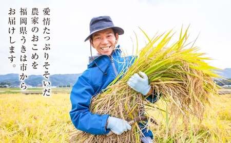 【6か月定期便】 無洗米 野上米 5㎏×6回 計30kg 【2025年10月下旬より発送予定】 ヒノヒカリ 米 こめ コメ お米 常温 国産