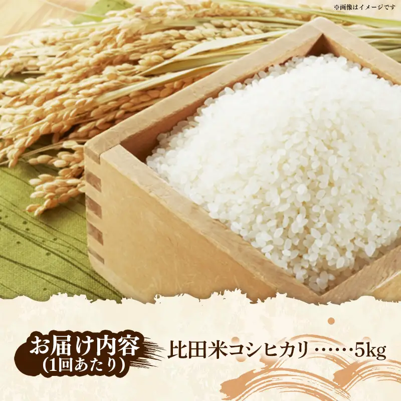 比田米 コシヒカリ(精米)5kg×3回 定期便【令和7年産 米 お米 計15kg こしひかり ごはん ご飯 国産 お弁当 美味しい 人気 おすすめ 島根県産 島根県 安来市】【45-EC-45】