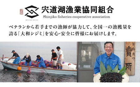 【全3回定期便】地元でも入手困難なレアサイズ！ Lサイズ 宍道湖産ヤマトシジミ(冷凍砂抜き済み)1kg×2袋(2kg) 島根県松江市/宍道湖漁業協同組合[ALAZ009]