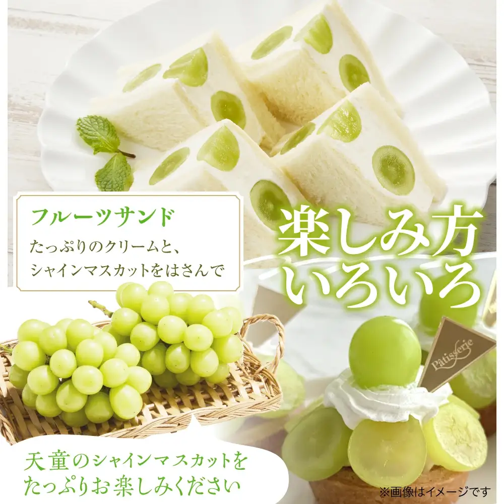 ぶどう 冬 に味わう シャインマスカット 約1.4kg ブドウ