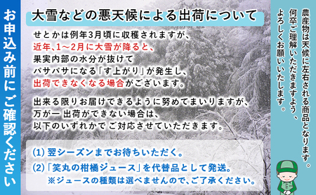 ＜せとか（家庭用）約3kg＋300g＞ 自宅用 訳あり ワケアリ 果物 くだもの フルーツ ミカン みかん セトカ 蜜柑 高級柑橘 柑橘の大トロ 柑橘 特産品 笑丸 愛媛県 西予市 常温『2027年3月上旬～4月上旬頃に順次出荷予定』AAN0087