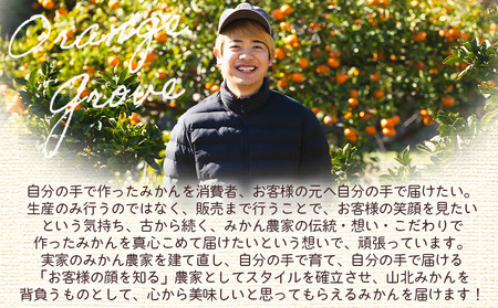 【贈答用】露地みかん 約3kg 小玉ミカン 先行受付 om-0002