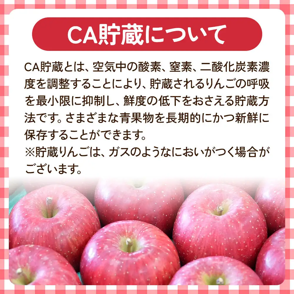 【27年5月クール便発送】りんご サンふじ【訳あり】約3kg【CA貯蔵】平均糖度13度以上 青森県 弘前市 果物 フルーツ 林檎 リンゴ くだもの 不揃い 規格外