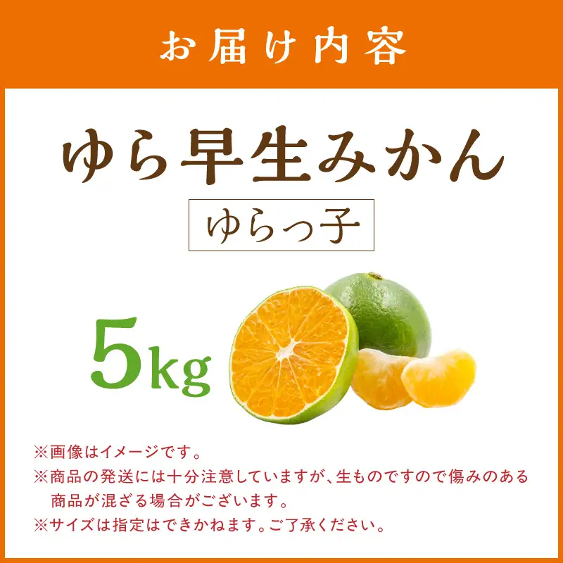 御坊市・日高川町・由良町産 ゆら早生みかん（ゆらっ子）5kg《先行予約》【0552-3】