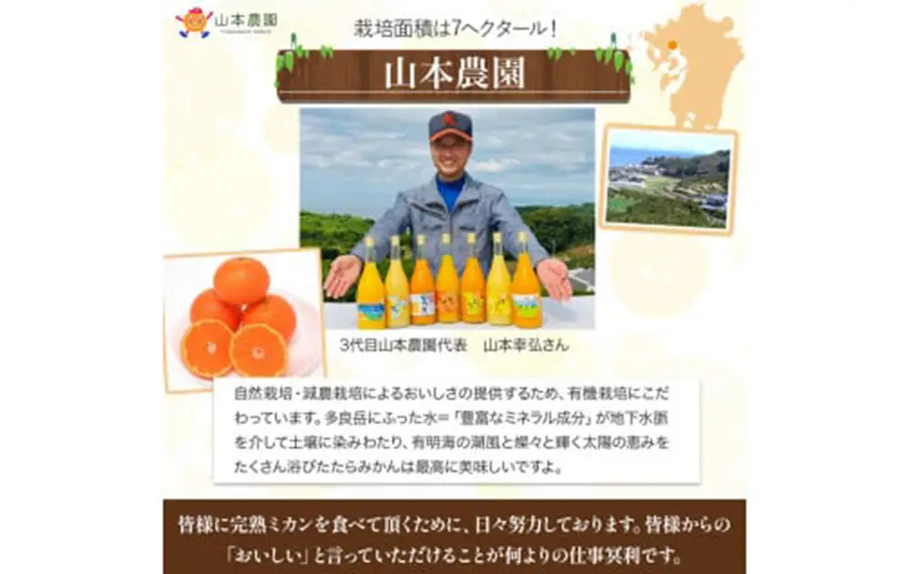 山本農園のクレメンティン 6kg （3kg × 2箱） 【2027年1月下旬-3月上旬】 クレメンティン 希少 ヨーロッパ生まれ スペイン原産 太良みかん みかん ミカン 蜜柑 フルーツ くだもの 果物 太良町 国産 甘い 美味しい 佐賀県 太良町 NC9x2