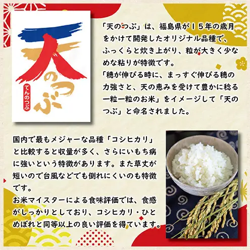 令和7年産 福島県郡山産 天のつぶ 10kg 精米 米 お米 白米 単一原料米 10キロ こめ コメ おこめ ご飯 ライス 福島県 郡山市産