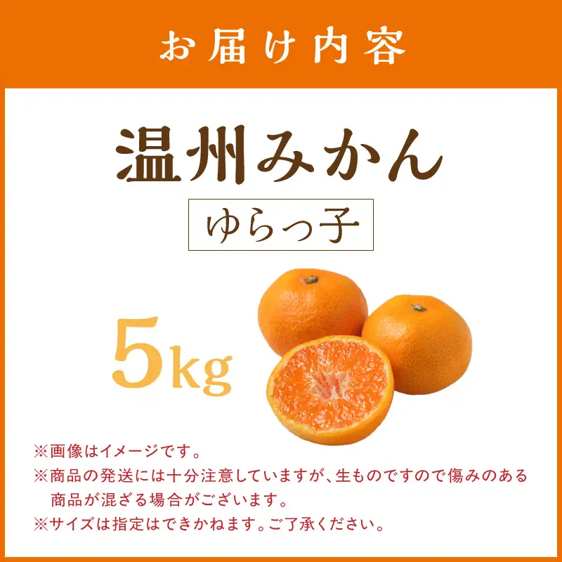 御坊市・日高川町・由良町産 温州みかん（ゆらっ子）5kg《先行予約》【0553-3】